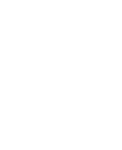 Apple / iPhone
